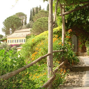 portofino local dining tips