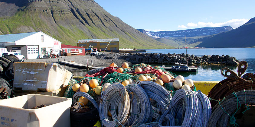 Iceland-Cruise