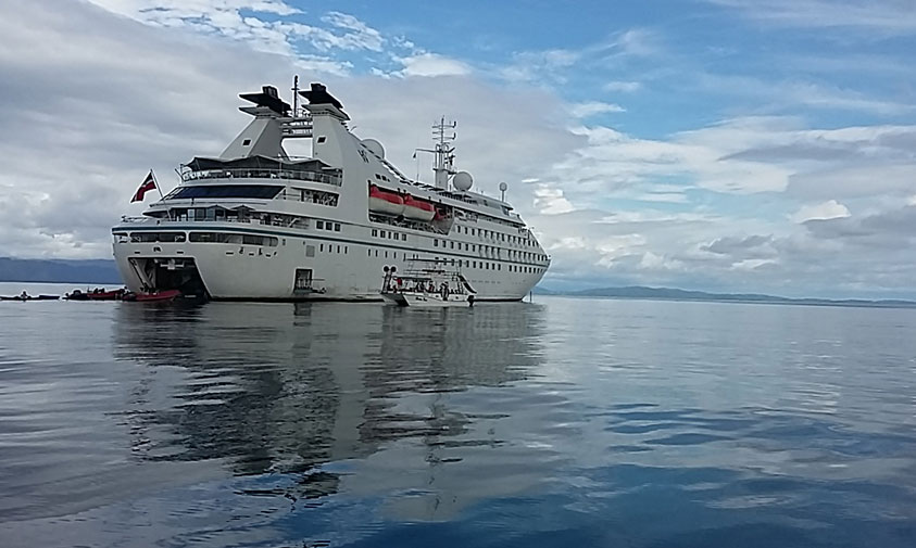 Star-Breeze-Puerto-Jimenez