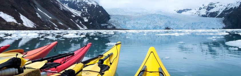 Land Tours Denali Alaska
