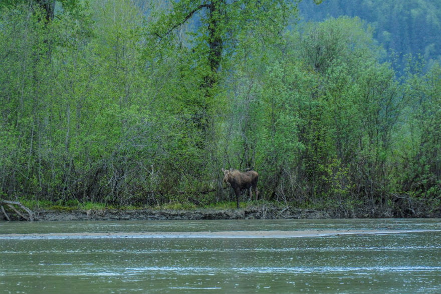 Haines Alaska