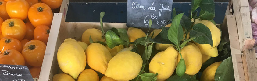 Lemon_Tiramisu