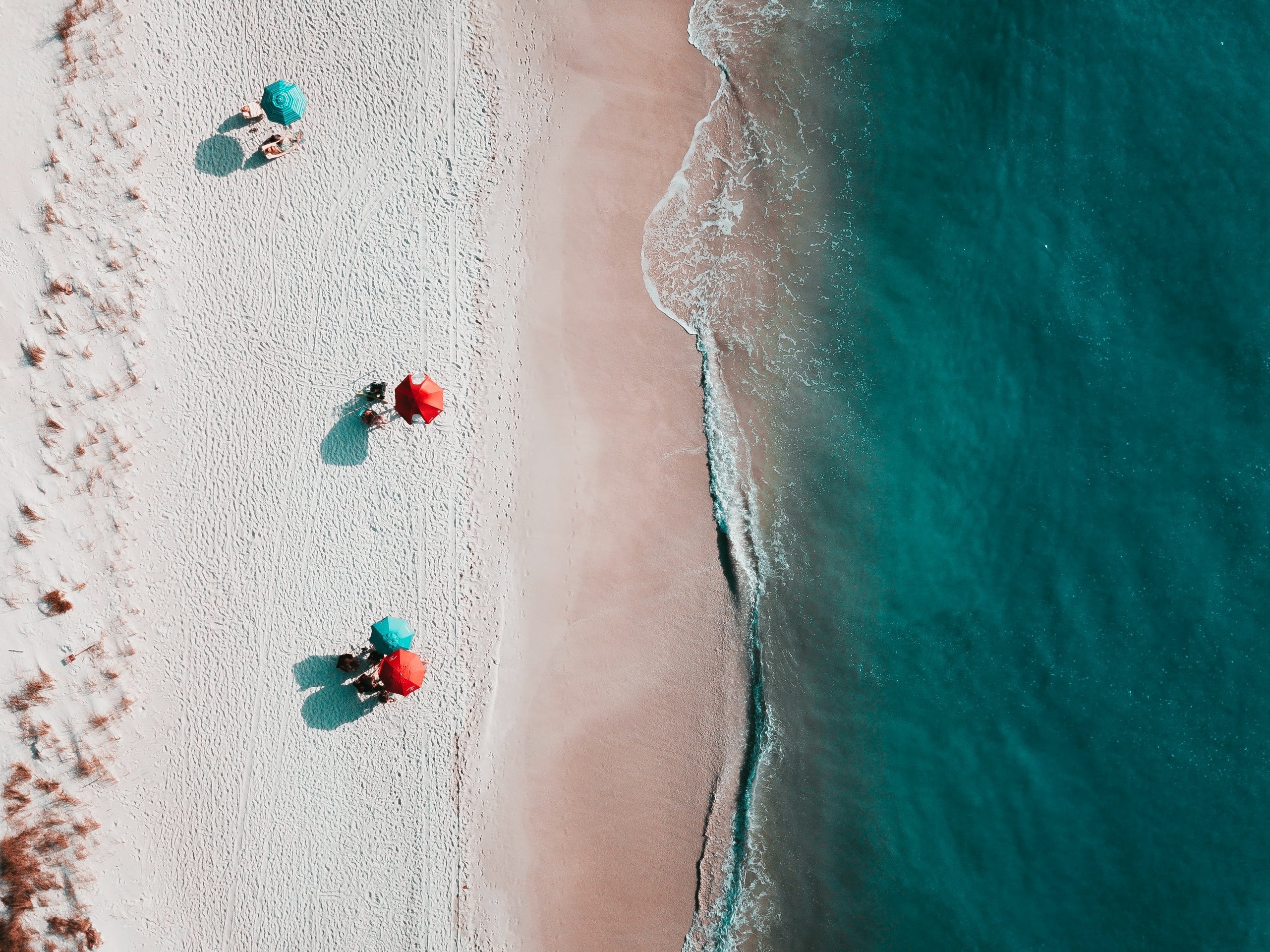 featured image - Group Travel Organizer